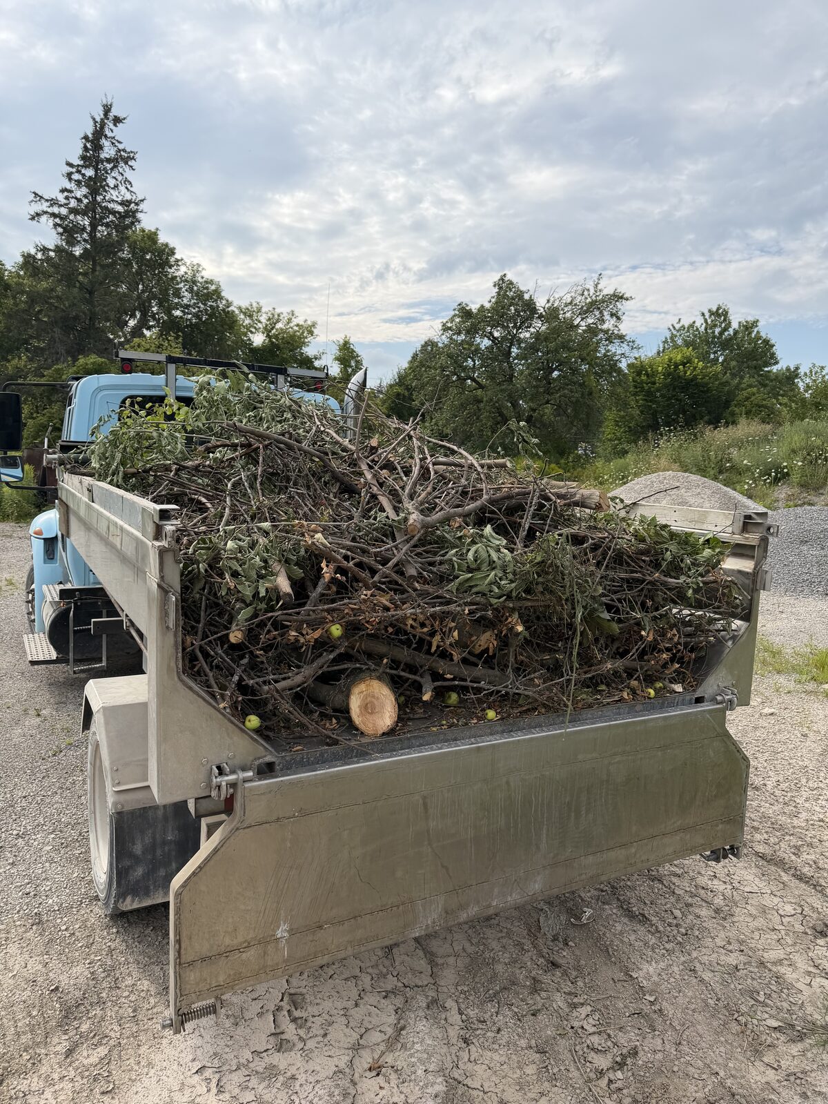 A trailer load of branches and brush from a property cleanup